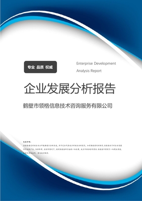 鶴壁市領格信息技術咨詢服務企業發展分析報告