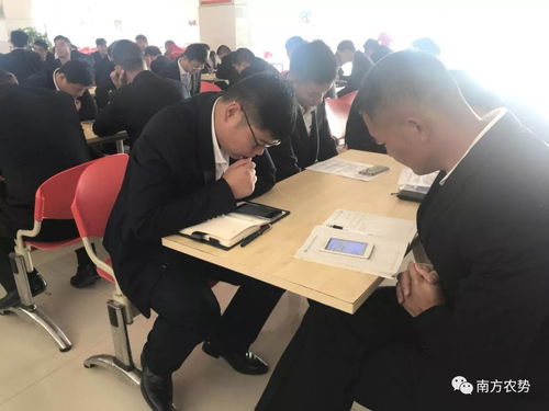 千錘百煉為今朝，淡定應考展風采——2018年華南營銷總部三力技術營銷農化服務力現場通關火熱進行